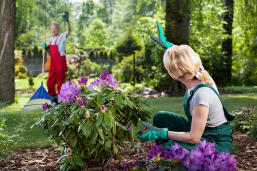 Secure payment options for Tree Surgeons Croydon services