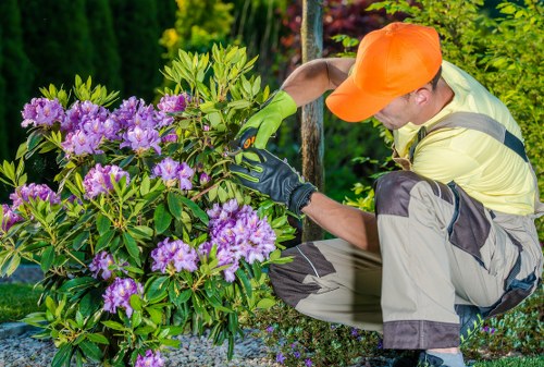 Tree surgery team preparing for careful tree management