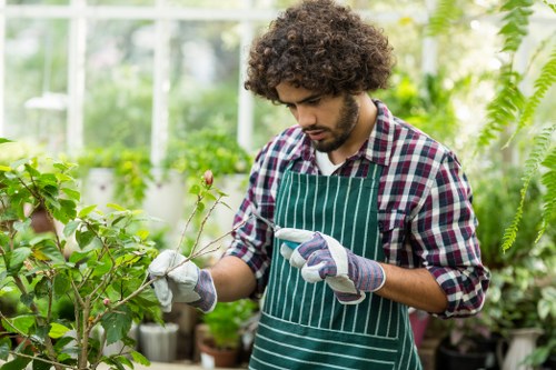 Secure checkout methods for Tree Surgeons Croydon customers