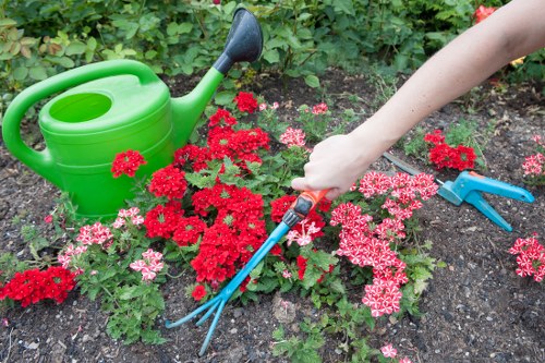 Stump grinding equipment working on a garden stump in Croydon