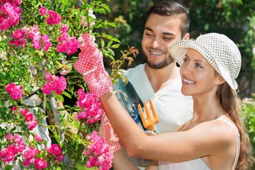Clearing a tree from a Croydon commercial or domestic property