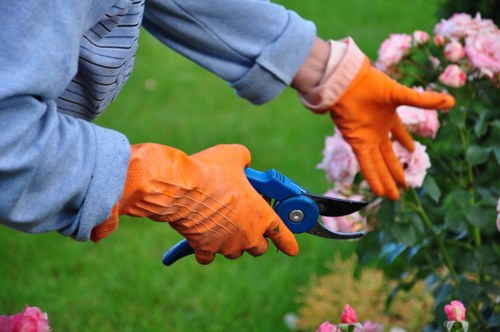 Waste and timber management after tree surgery work