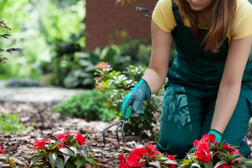 PCI-compliant payment system for tree surgery clients