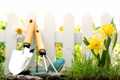 Professional tree care for homes and businesses in Croydon