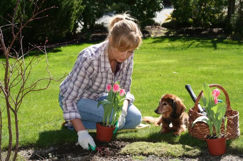 Emergency preparedness and safety procedures for tree surgeons