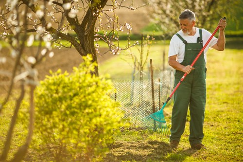 Well-maintained trees improving a Croydon residential landscape