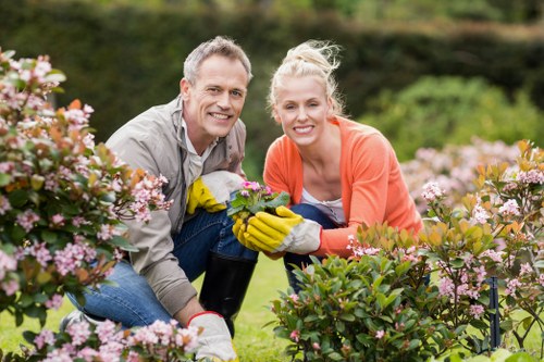 Professional tree pruning work in a suburban Croydon property